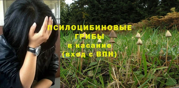 экстази Арсеньев